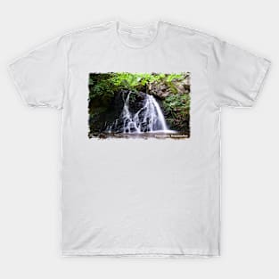 Fairy Glen Waterfall, Rosemarkie, Scotland T-Shirt